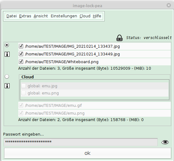 Dialog zur Passwort-Eingabe mit zu öffnenden Dateien